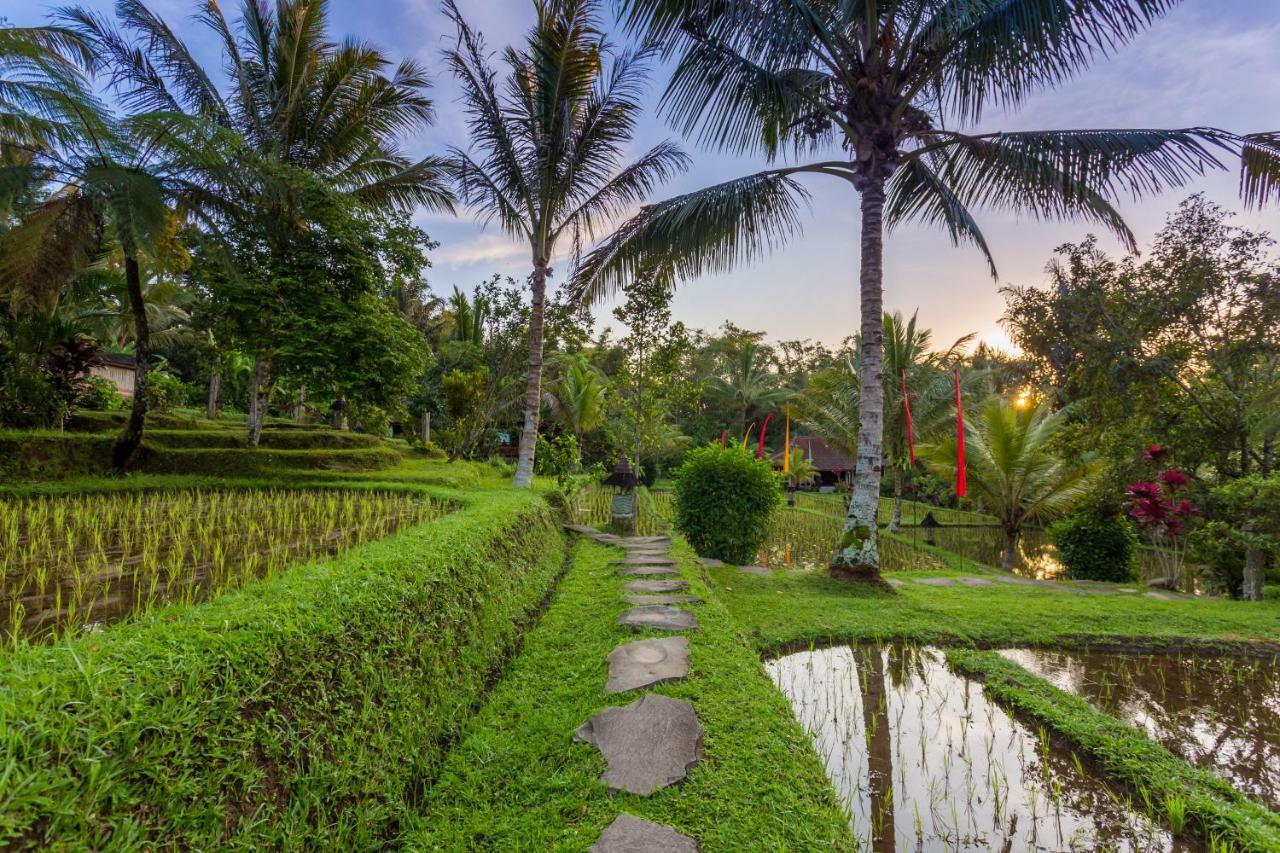 Prana Dewi Mountain Resort Jatiluwih Zewnętrze zdjęcie